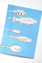 A5 PRINT "CATCH OF THE DAY"