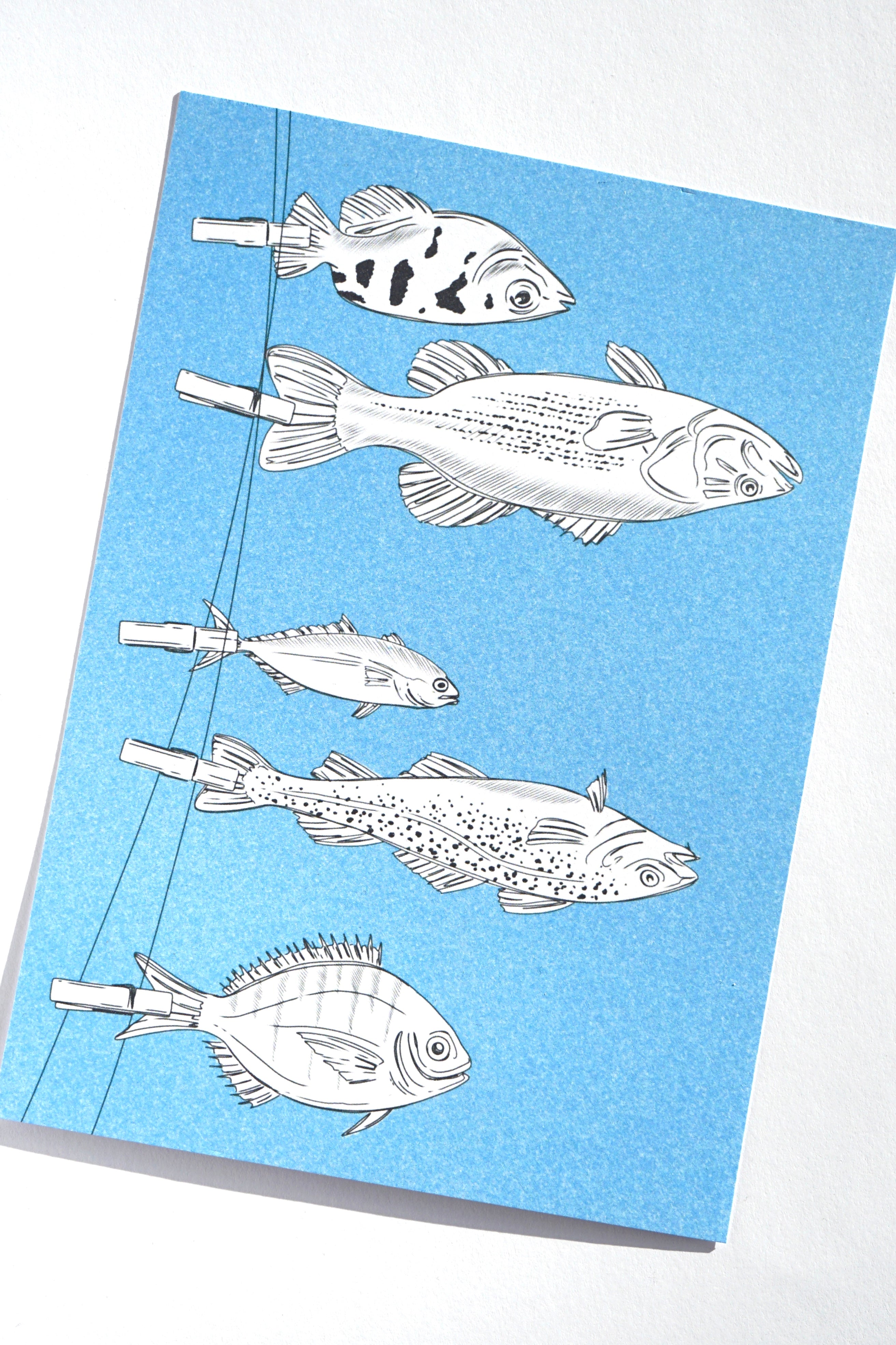 A5 PRINT "CATCH OF THE DAY"